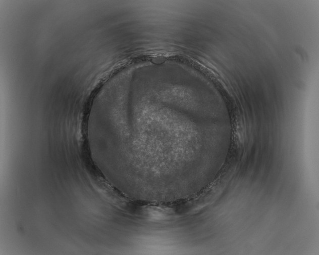 X0000113370512200910061103