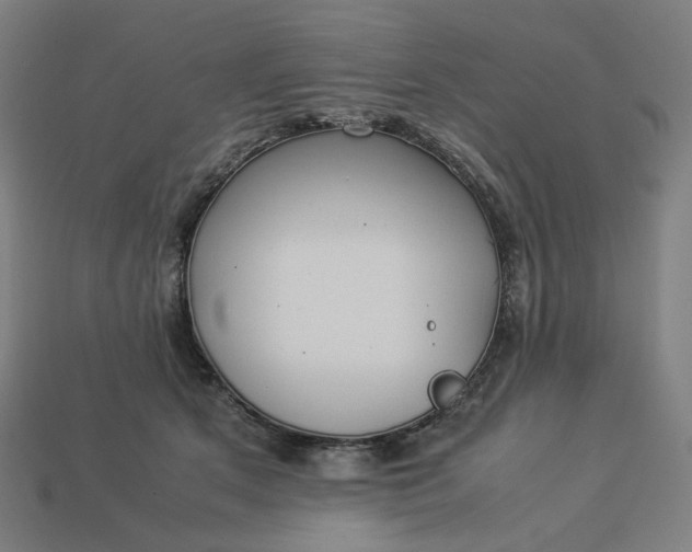 X0000113370513200910061103