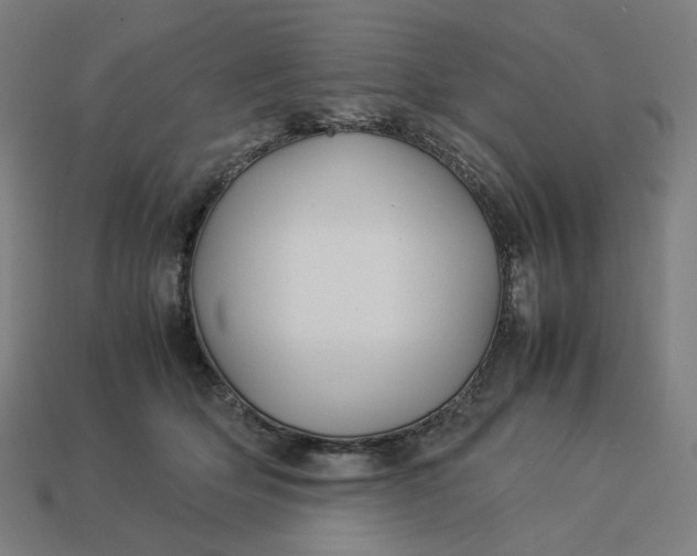 X0000113370514200910061103