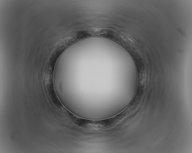 X0000113370515200910061103