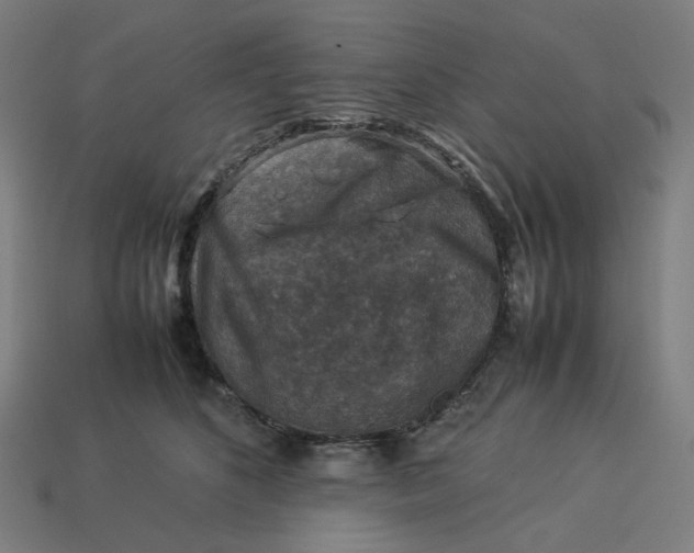 X0000113370516200910061103