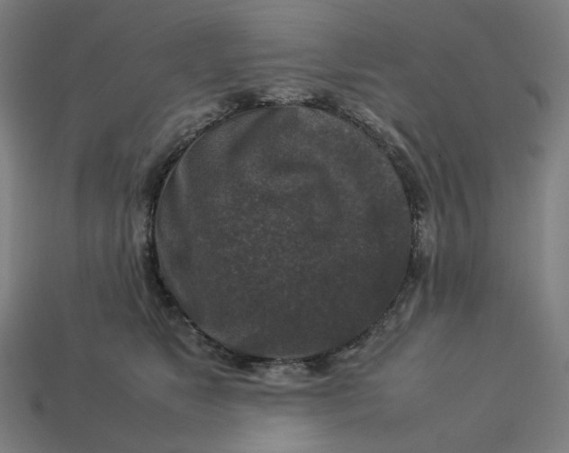 X0000113370517200910061103