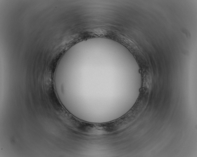 X0000113370518200910061103