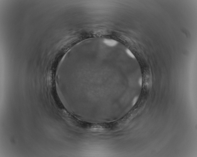 X0000113370519200910061103