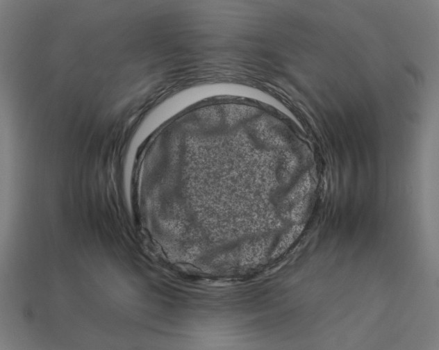 X0000113370520200910061103