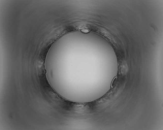 X0000113370521200910061103