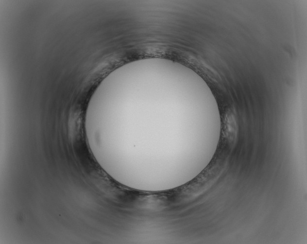 X0000113370522200910061103