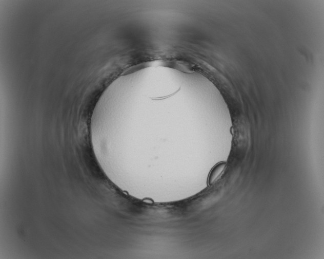 X0000113370523200910061103