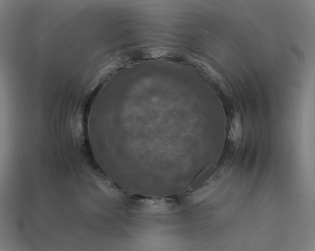 X0000113370524200910061103