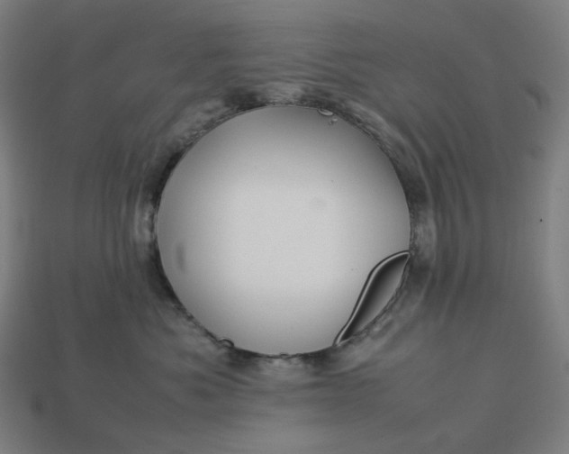 X0000113370525200910061103