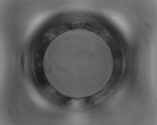 X0000113370526200910061103