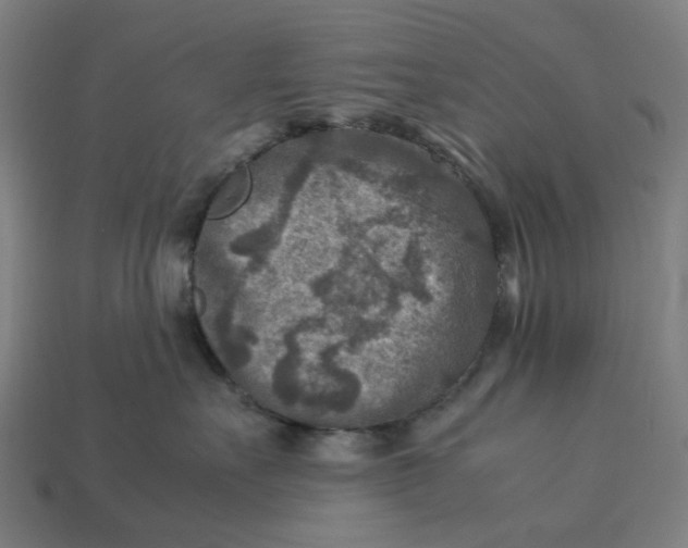 X0000113370527200910061103