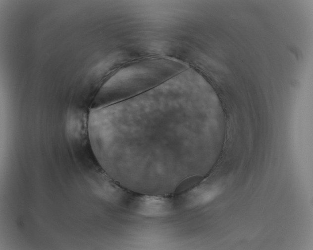 X0000113370528200910061103