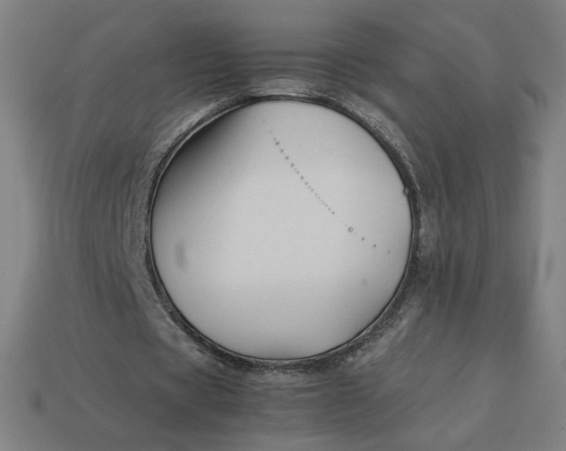 X0000113370529200910061102