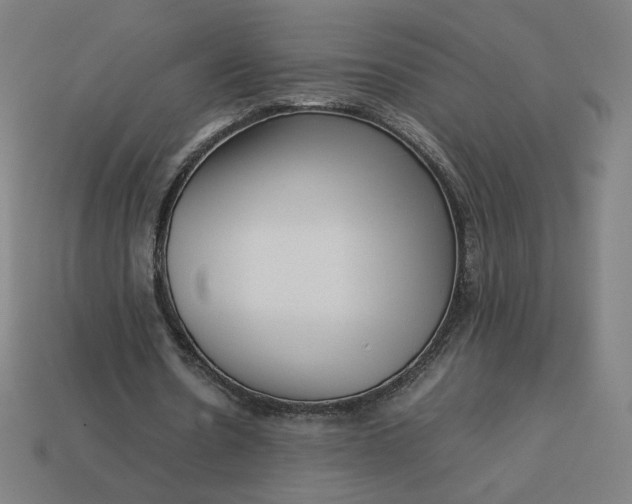 X0000113370530200910061102