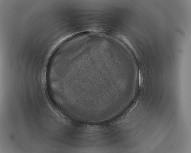 X0000113370531200910061102