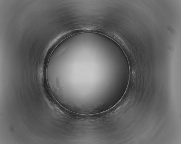 X0000113370532200910061102