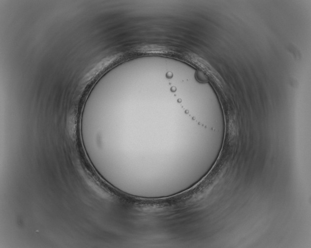 X0000113370533200910061102