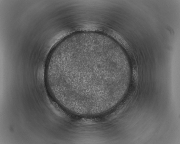 X0000113370534200910061102