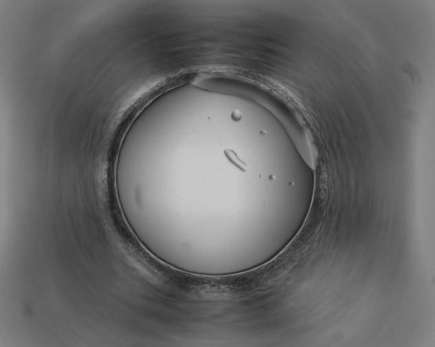 X0000113370535200910061102