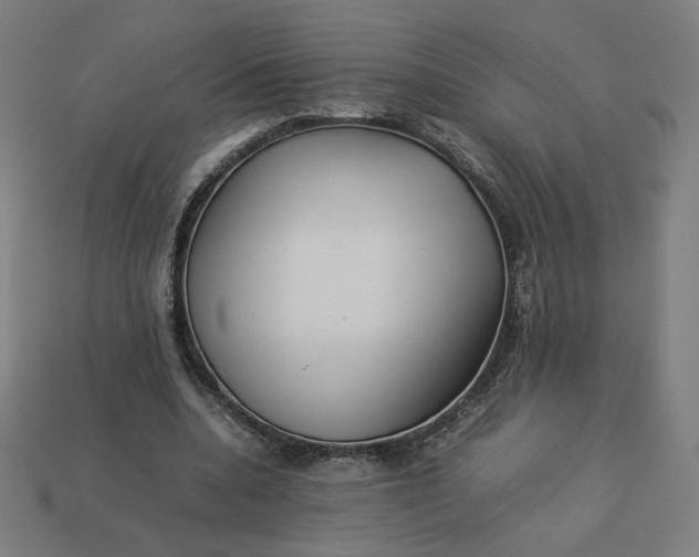 X0000113370536200910061102