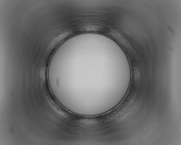 X0000113370537200910061102