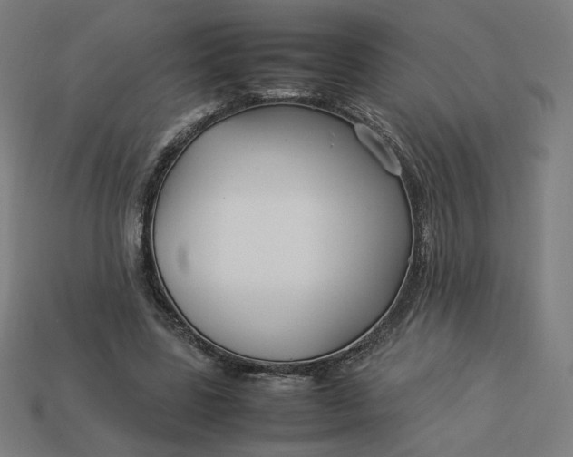 X0000113370539200910061102