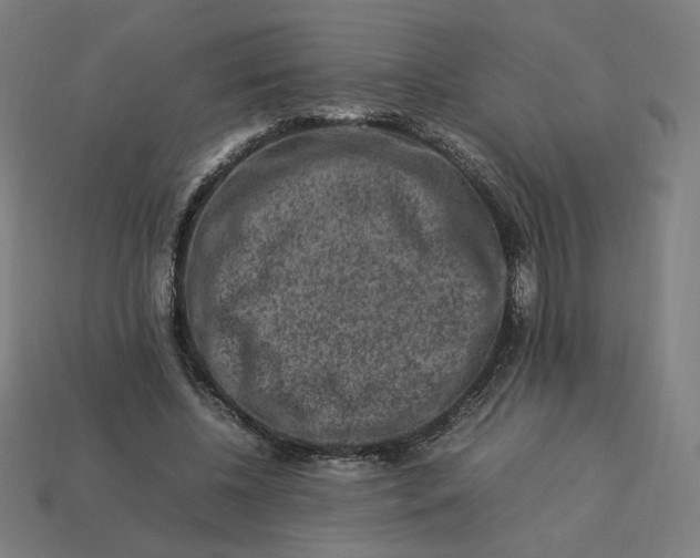 X0000113370540200910061102