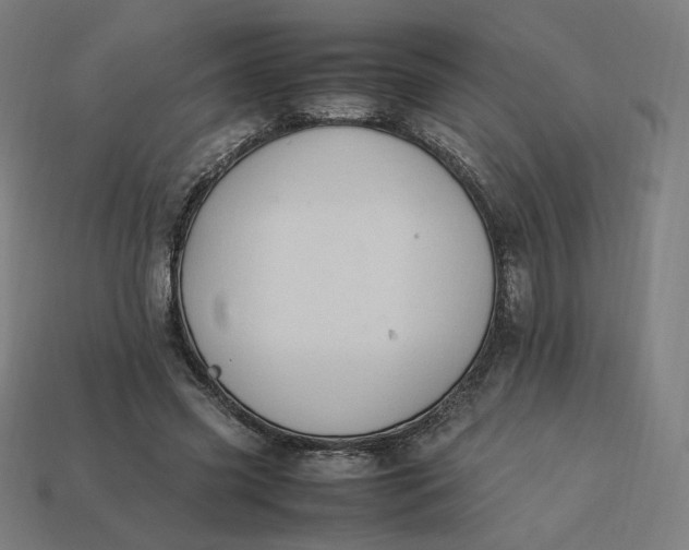 X0000113370541200910061102