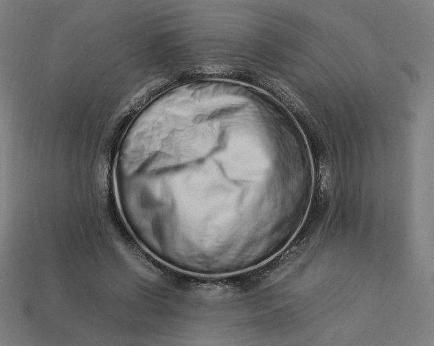 X0000113370542200910061102