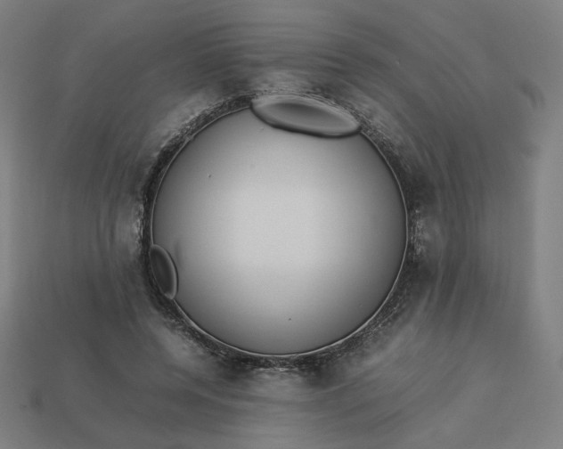 X0000113370544200910061102