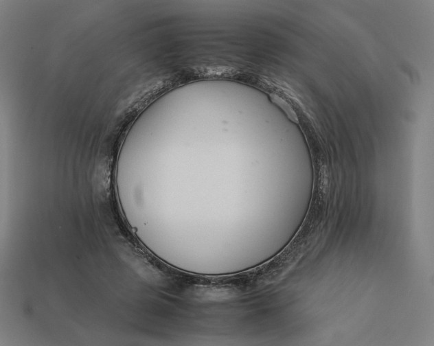 X0000113370545200910061102