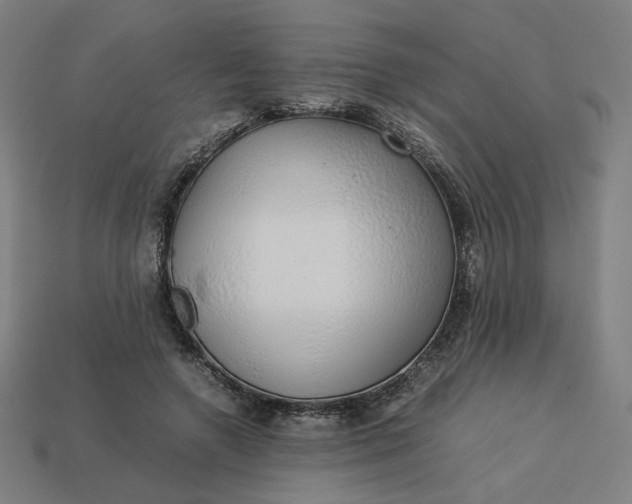 X0000113370546200910061102