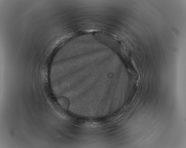 X0000113370547200910061102