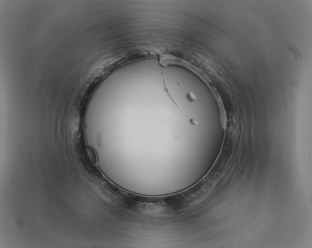 X0000113370548200910061102