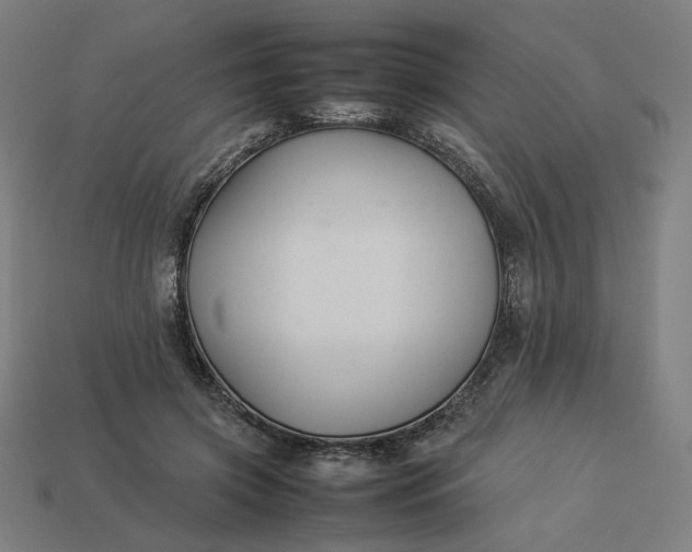 X0000113370549200910061102