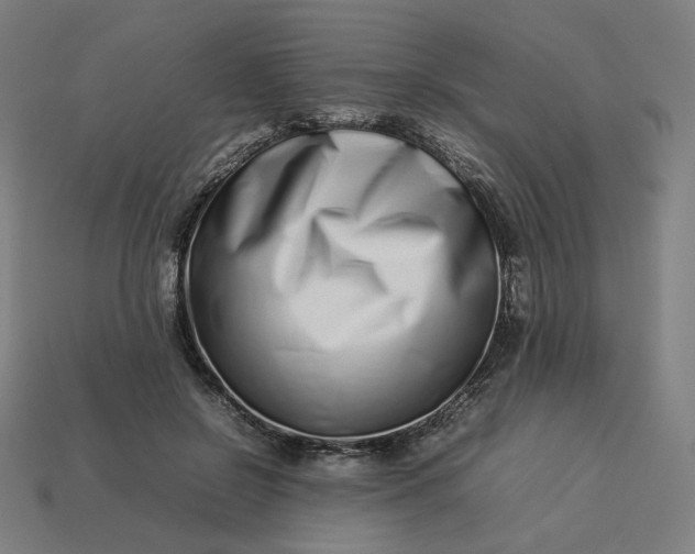 X0000113370550200910061102