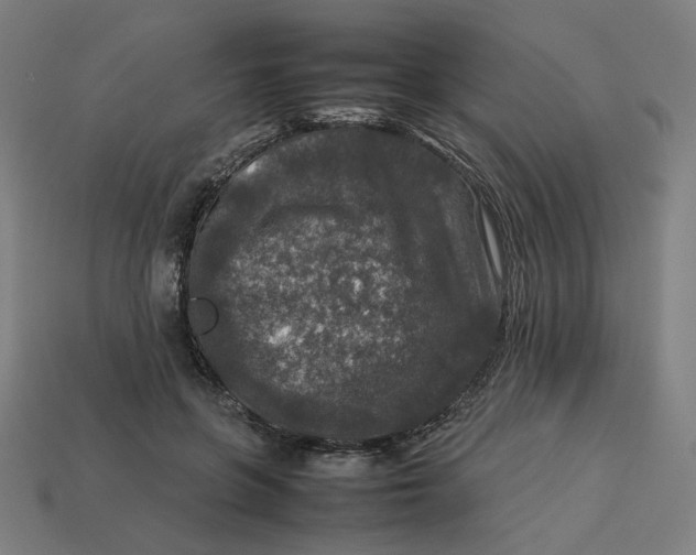 X0000113370551200910061102