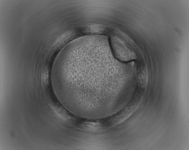 X0000113370552200910061102