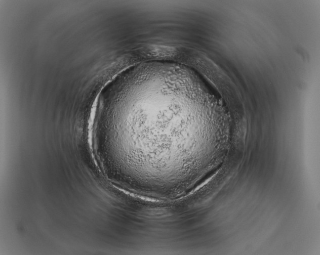 X0000113370553200910061102