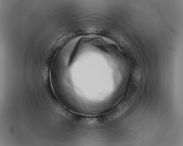 X0000113370554200910061102