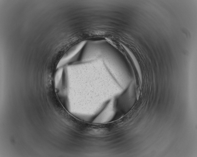 X0000113370555200910061102