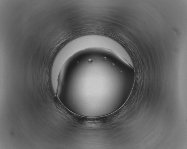 X0000113370556200910061102