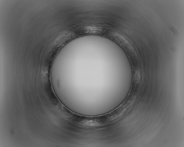 X0000113370557200910061102