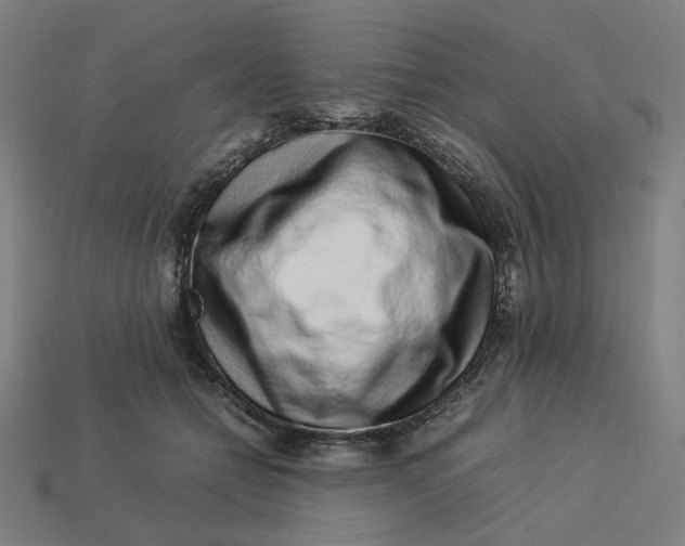 X0000113370558200910061102