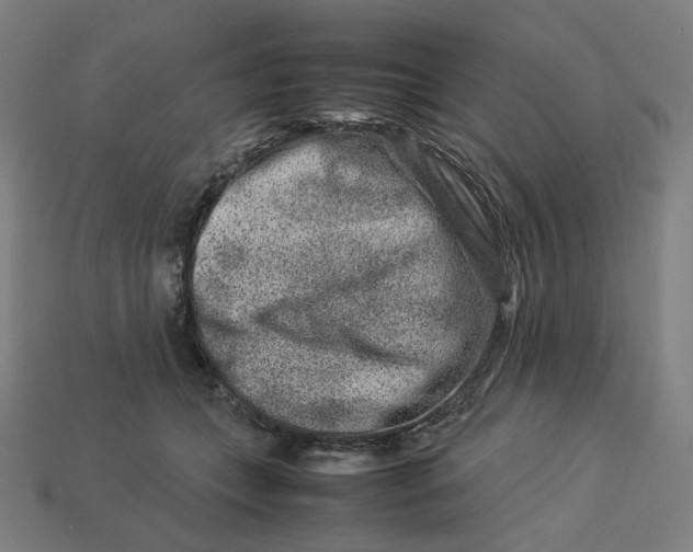 X0000113370559200910061102