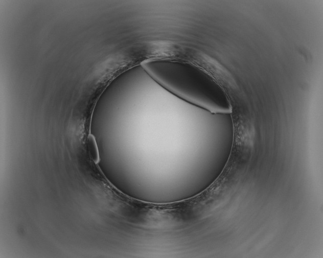 X0000113370560200910061102