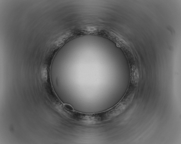 X0000113370562200910061102