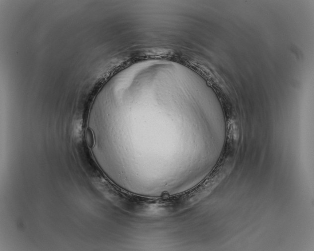 X0000113370564200910061102