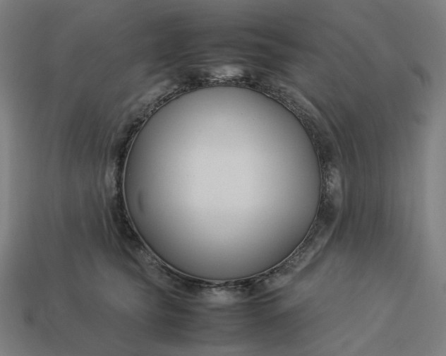 X0000113370565200910061103